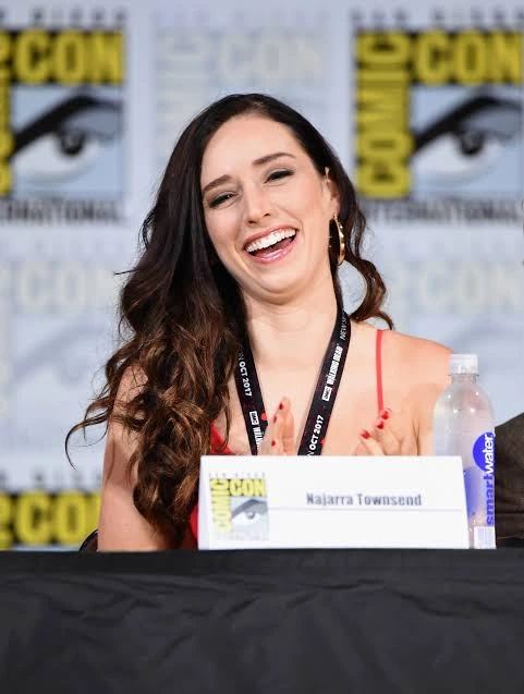 Medinah Comic-Con panel photograph supplied from the project archive